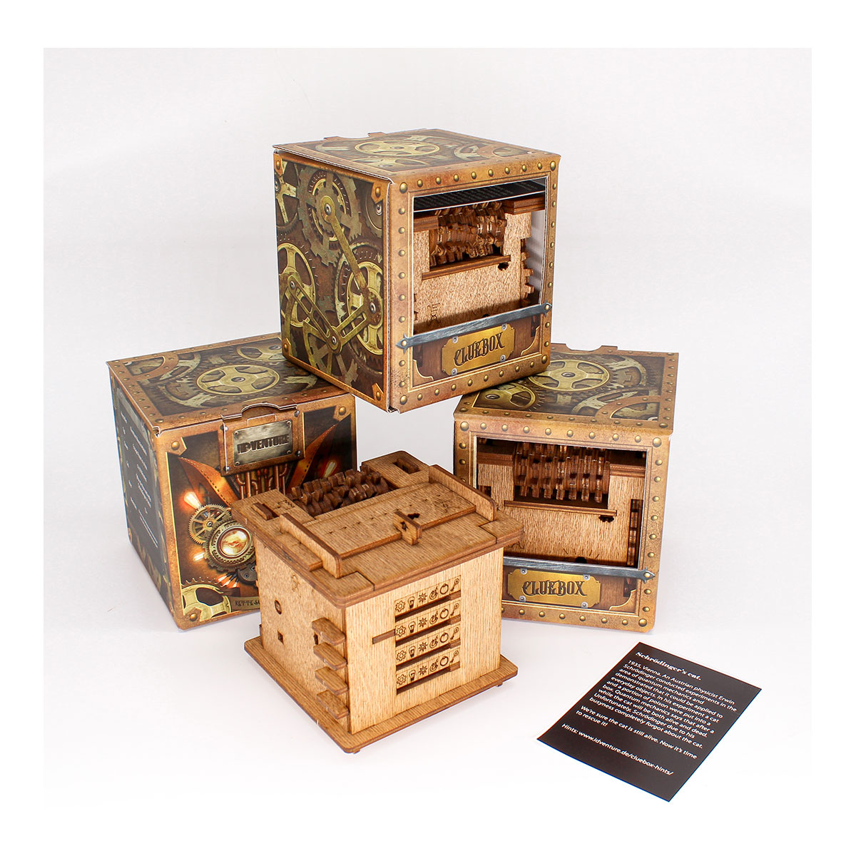 Rätselbox, Schrödingers Katze